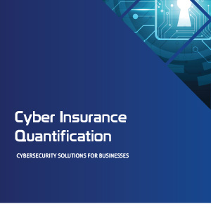 Cyber Insurance Quantification Data Sheet