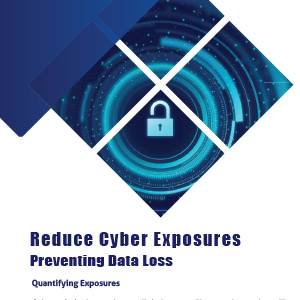 Reduce Cyber Exposures Solution Brief