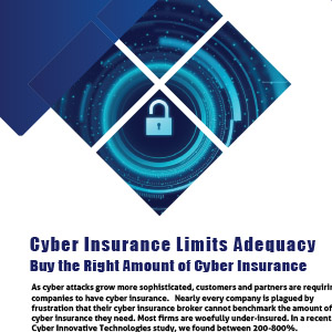 Cyber Insurance Limits Adequacy Solution Brief